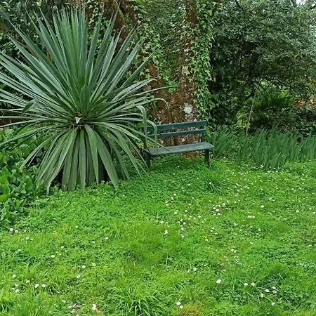 Ferienhaus Casa Da Nogueira *