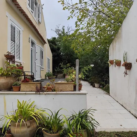 Prázdninový dům Casa Da Nogueira Alvorninha