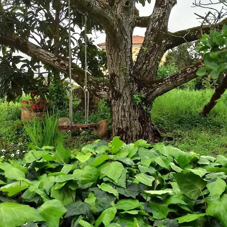 Casa Da Nogueira Ferienhaus