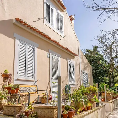 Casa Da Nogueira * Alvorninha