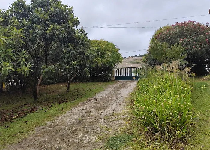 Casa Da Nogueira * Alvorninha