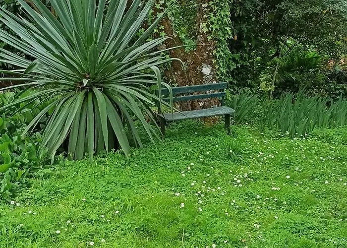 Vakantiehuis Casa Da Nogueira *