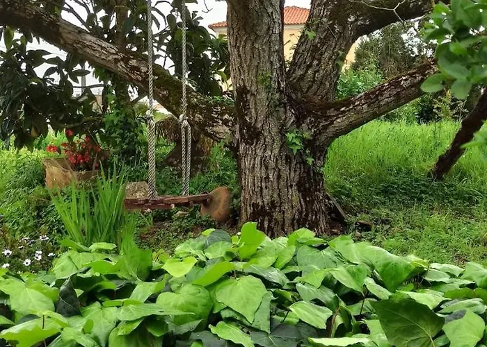 Casa Da Nogueira Vakantiehuis