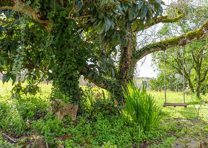 Casa Da Nogueira Сasa de vacaciones